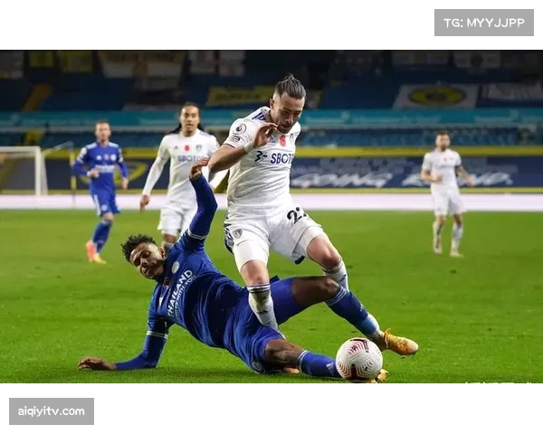 诺丁汉森林对阵埃弗顿比赛因球迷闯入短暂中断